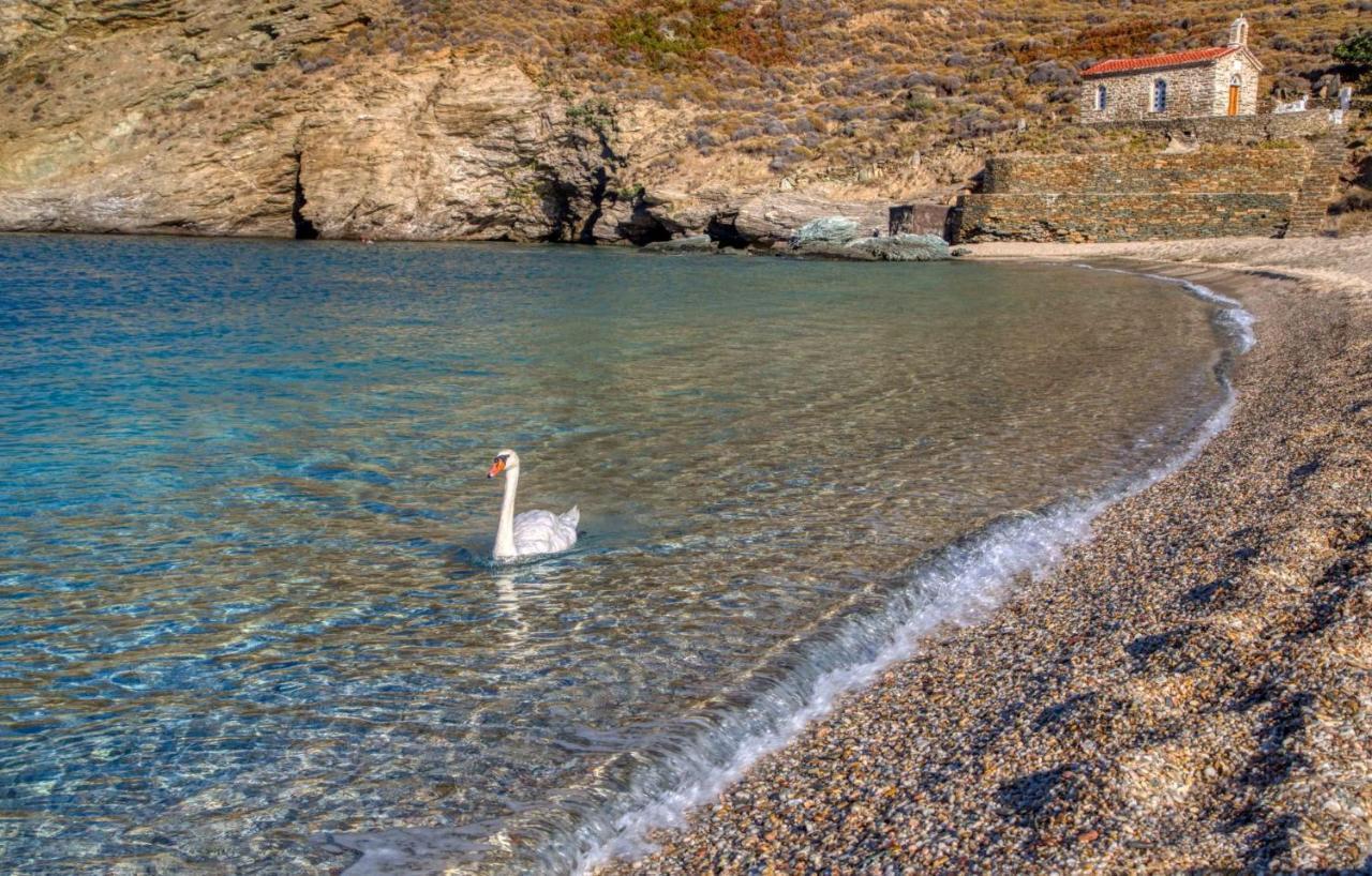 Andros Guesthouses Esterno foto