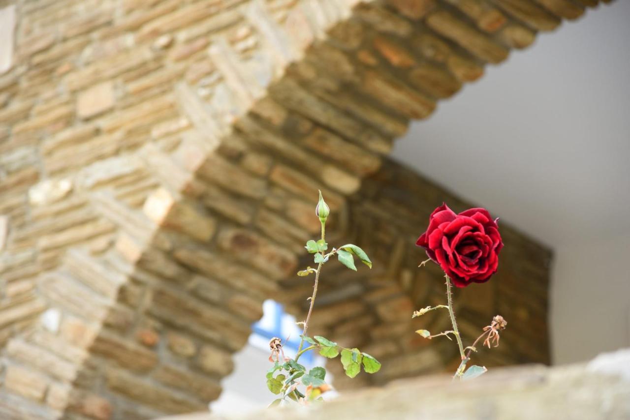 Andros Guesthouses Esterno foto